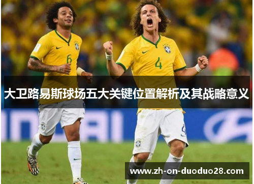 大卫路易斯球场五大关键位置解析及其战略意义 大卫路易斯球场五大关键位置解析及其战略意义