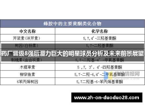 药厂晋级8强后潜力巨大的明星球员分析及未来前景展望 药厂晋级8强后潜力巨大的明星球员分析及未来前景展望